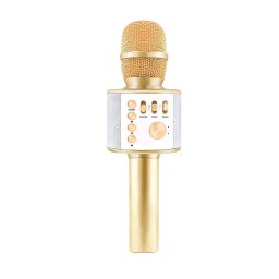 Bezdrôtový párty mikrofón 5W s bluetooth reproduktorom