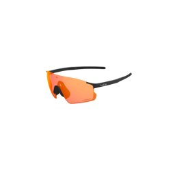 Slnečné okuliare Bollé Icarus BS016006