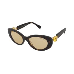 Slnečné okuliare Swarovski SK6002 1002/8