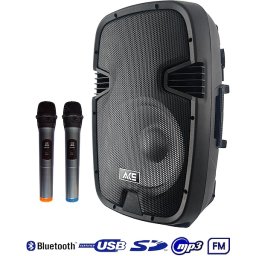 Aktívny reprobox ACE PAQ 12AB RH Sound