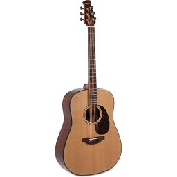 Akustická gitara Wood Classics AAD96-4 Natural Gloss Applause