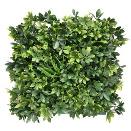 Aralia plastov zelen stena 50x50 cm