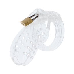 Hidden Desire Extreme Chastity Cock Cage Acrylic