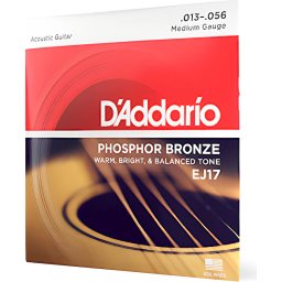 D'Addario EJ17