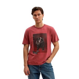 Tričko Pepe Jeans GAVIN TEE red, black, white