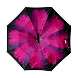 Obrátený dáždnik Gerbera