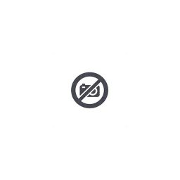 Epson T40D3 originálna atramentová náplň