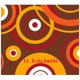Organizér do auta Výběr vzoru 11.kola hnědá