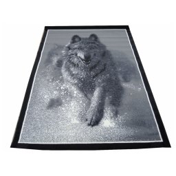 Koberec Husky