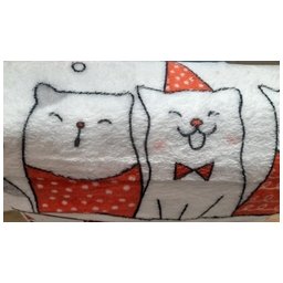 Deka pro děti Kočky v oblečku 150 x 200cm