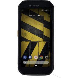 Cat S42