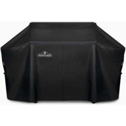 Napoleon Pro 825 Models Cover