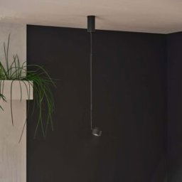 Paulmann - Puric Pane 6W LED Dimmable Smart Home Zigbee 3.0 Pendant Light in Black