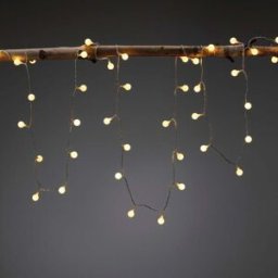 Paulmann - Plug & Shine Outdoor 1.8W LED 5m Warm White Fairy Lights in Black