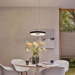 Paulmann - Puric Pane 22W LED Pendant Light with 3-Step Dim in Black