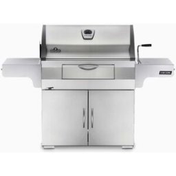 Napoleon Charcoal Professional Barbecue