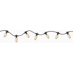Paulmann - Plug & Shine 2W LED Fairy Lights in Black