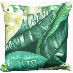 Harbour Lifestyle Acrisol Amazonia Verde Small Scatter Cushion - 25m x 25cm
