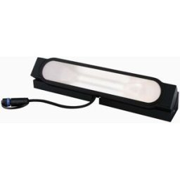 Paulmann - Plug & Shine Outdoor Tidos 6.1W LED Wallwasher in Anthracite