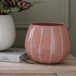 Ivyline - Nova Wax Relief Rose Planter