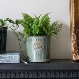 Ivyline - Kew Reactive Glaze Sage Planter