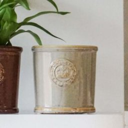 Ivyline - Kew Reactive Glaze Ivory Planter
