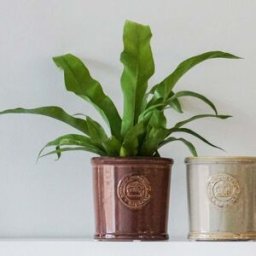 Ivyline - Kew Reactive Glaze Plum Planter