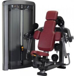 Life Fitness Insignia Series Biceps Curl Machine