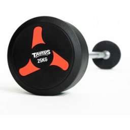 Taurus Fixed Barbell V2 25 kg