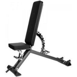 Taurus Weight Bench B900
