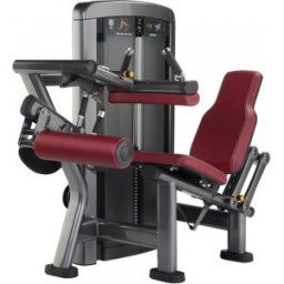 Life Fitness Insignia Series Seated Leg Curl Machine