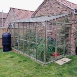 Elite Greenhouses Elite Kensington 6x10 Lean to Greenhouse - Green Powder Coated