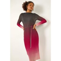 Dusk Ombre Plisse Mesh Dress 8 female