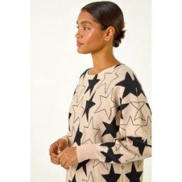 Roman Star Print Long Sleeve Knit Jumper one size female
