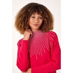 Roman Moonburst Embellished Detail Jumper S female