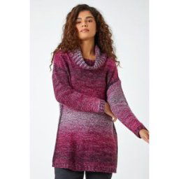 Roman Cowl Neck Ombre Longline Jumper 14 female