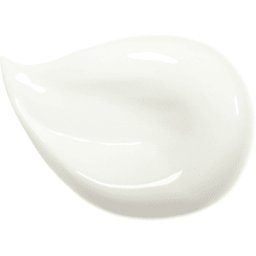 Vanilla Bean Luxury Paint Sample, Wood & Trims Satin / Wood & Trims Satin / Wood & Trims Matt
