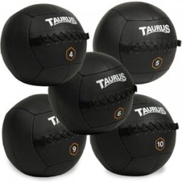 Taurus Wall Ball 5 Ball Full Set - 4-10kg