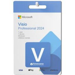 Microsoft Visio Professional 2024 BIND