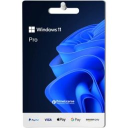 Microsoft Windows 11 Pro