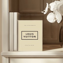 The Little Guide to Louis Vuitton Mini Coffee Table Book