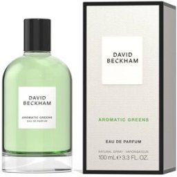 David Beckham Aromatic Greens 100ml Eau de Parfum Spray