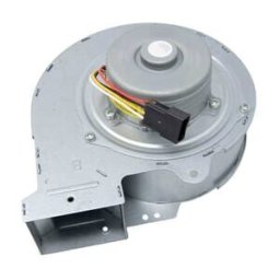 Rinnai A Series 17i Fan Motor Assembly