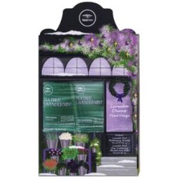 Paul Mitchell Tea Tree Lavender Mint Moisturising Gift Set