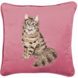 Wrendale Designs by Hannah Dale Embroidered Cushion - Feline Fabulous - Cat