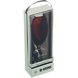 Kent Brushes Kent Large Black Porcupine Cushion Brush - Midnight Ruby - CSML