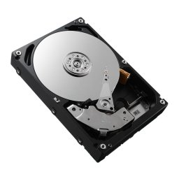 Dell HDD 1TB ES 7,2 3,5 S-MEG EC 6G **Refurbished** W69TH-RFB - eet01