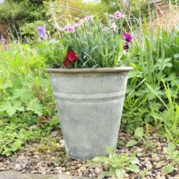 Small Rustic Grey Metal Bucket Planter Pot - 23cm Material: Garden