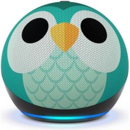 Amazon Echo Dot Kids 5th Gen