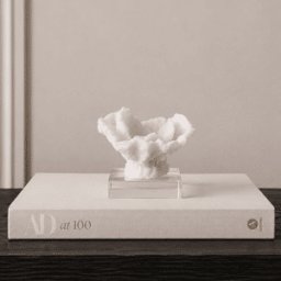 Fiorelle Mini Decorative Faux Coral on Acrylic Base